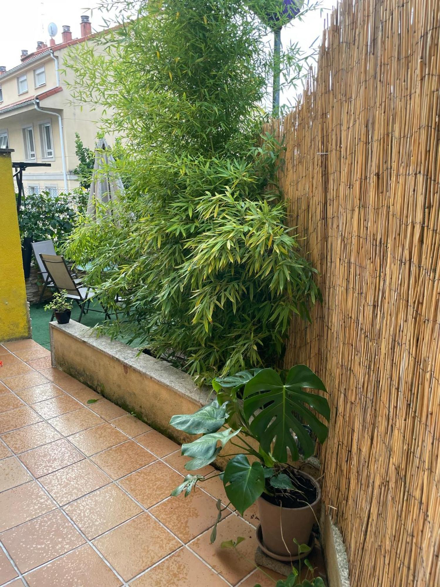 San Salvador de Poio Ecobambu Con Terraza Y Parking En Pontevedra 아파트 외부 사진